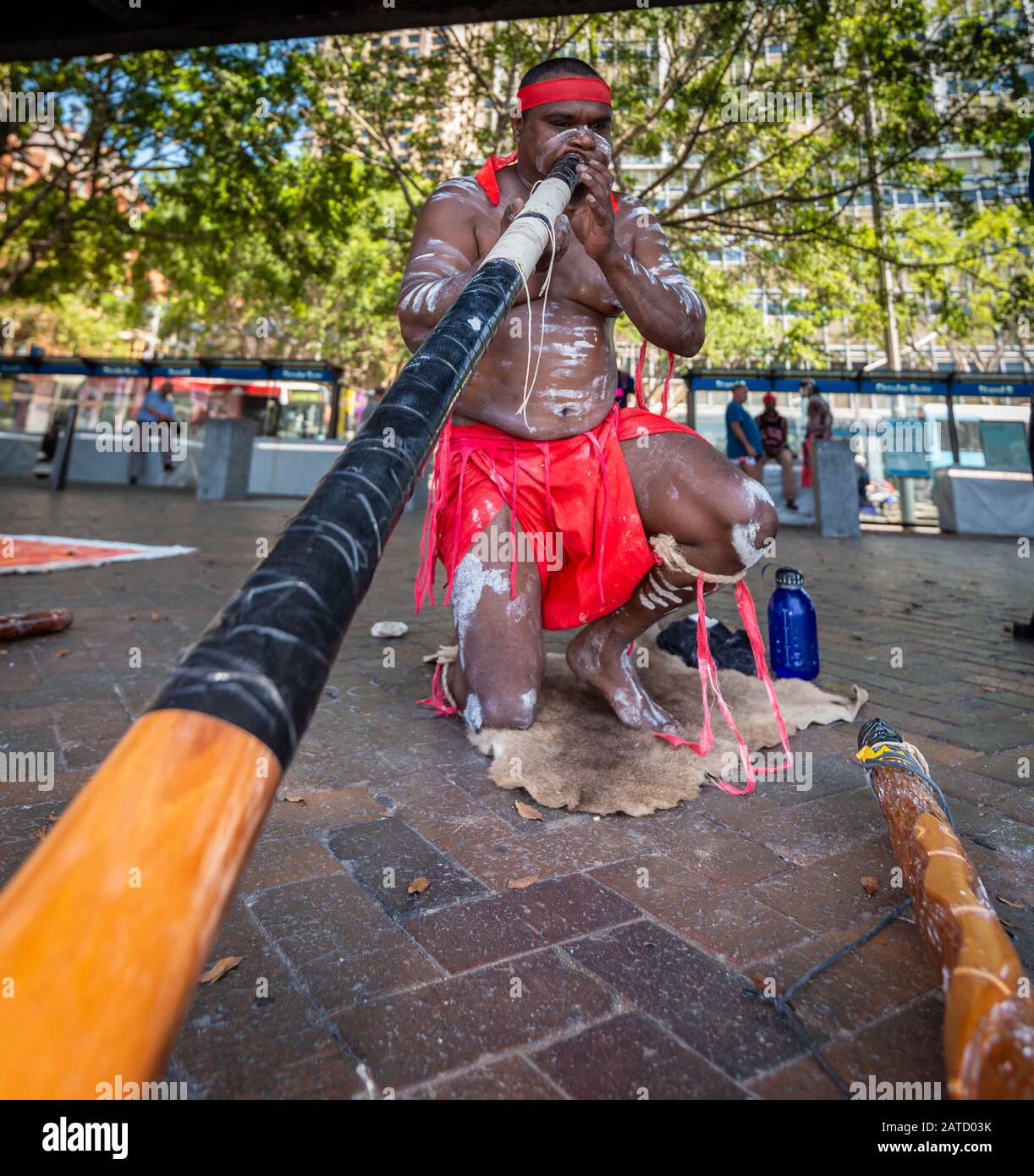 Sydney, Nouvelle-Galles du Sud, Australie le 1er février 2020 : un groupe d'Autochtones talentueux jouent des bâtons de bois et du didgeridoo pour les touristes à Circular Quay. Banque D'Images