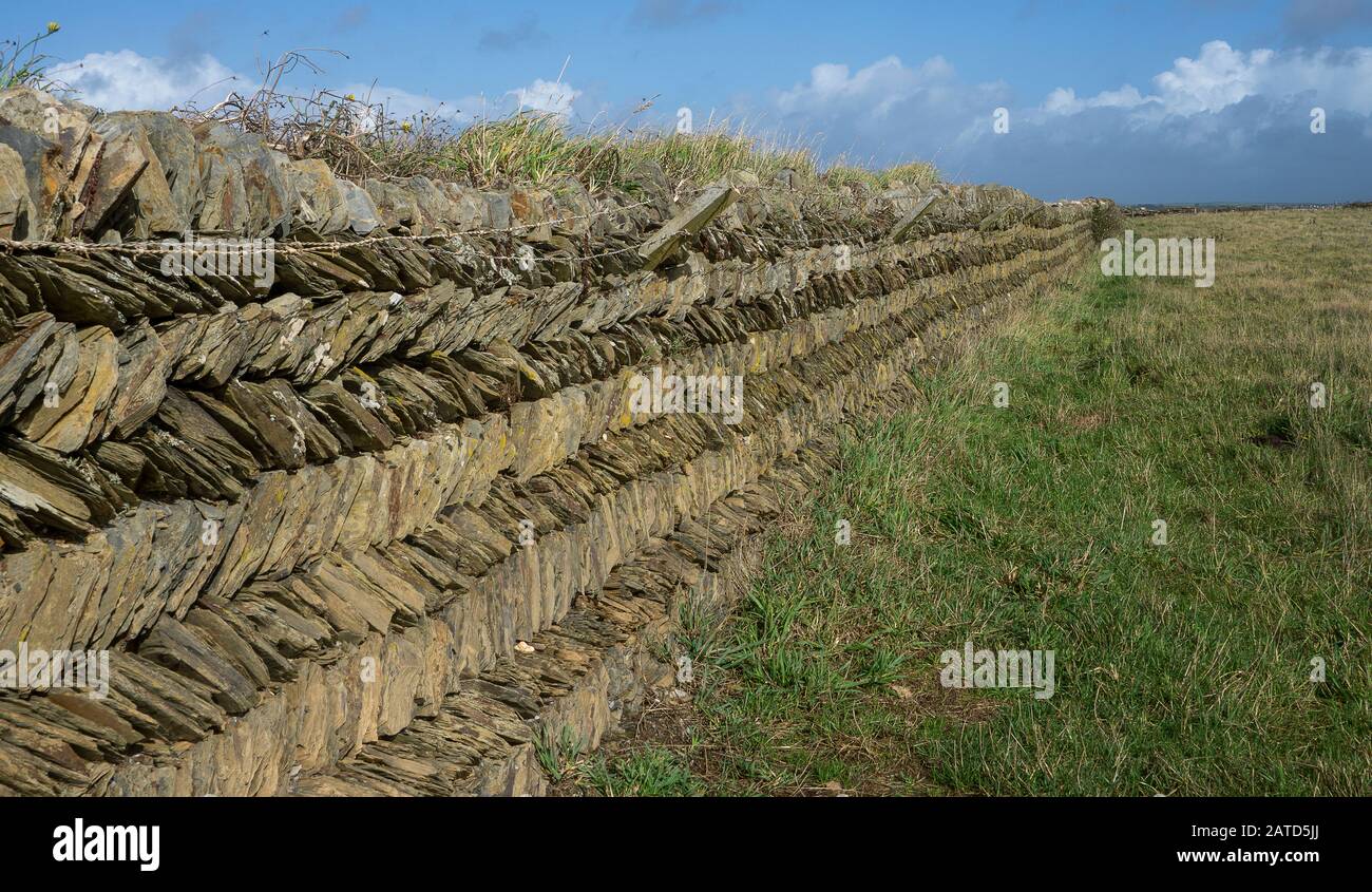 Mur de Cornish une combinaison d'un mur de pierre Il a un centre de terre et est ensuite face de chaque côté avec la pierre locale Banque D'Images