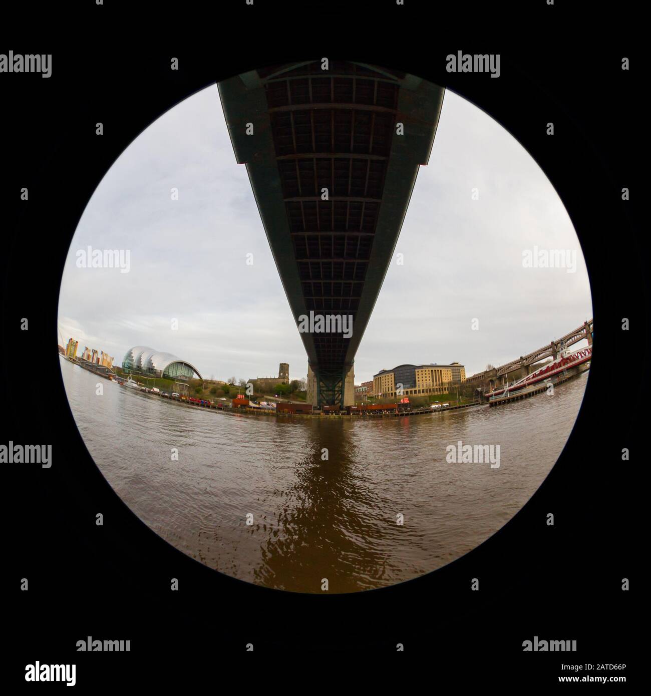 Vue sur les yeux de poisson sous le pont Tyne. Le pont Tyne s'étend sur la Tyne et relie Newcastle upon Tyne et Gateshead dans le nord de l'Angleterre. Banque D'Images