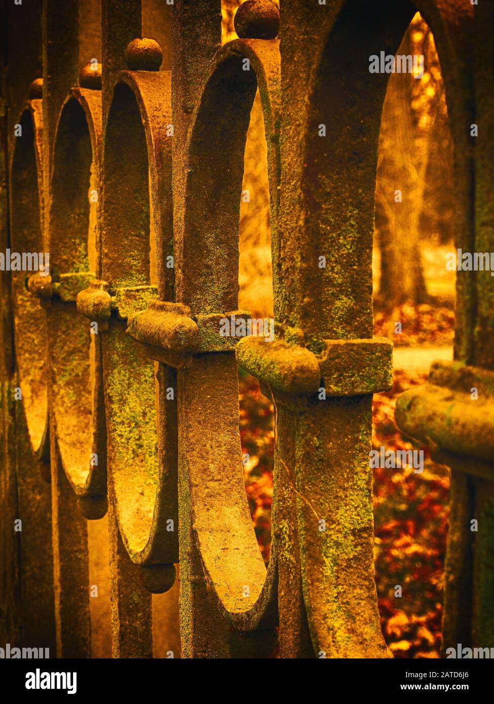 Golden et vieille clôture en fer Banque D'Images