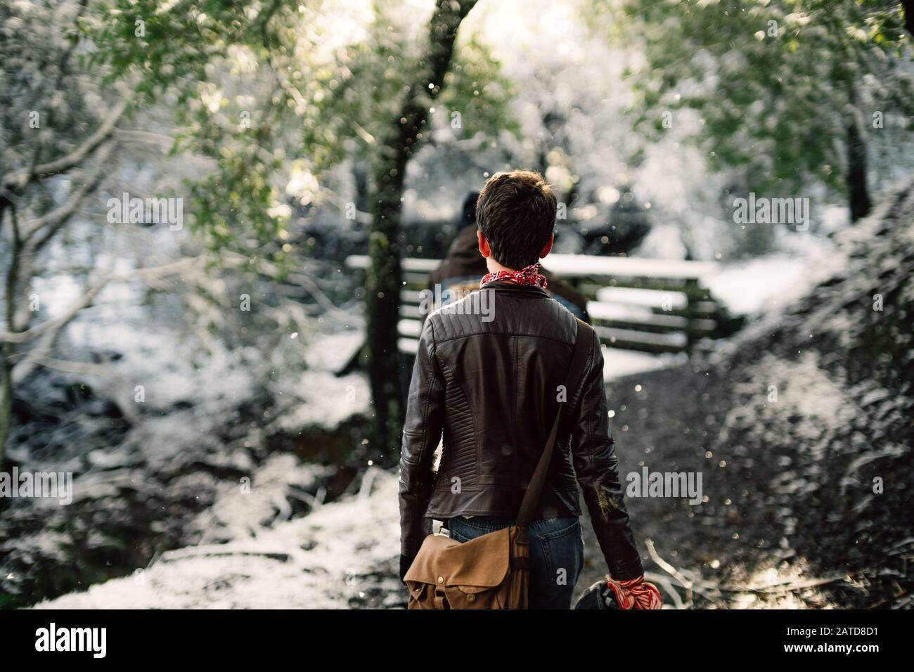 Deux hommes marchant dans la forêt d'hiver, La Réserve régionale de Morgan Territory, Californie, États-Unis Banque D'Images