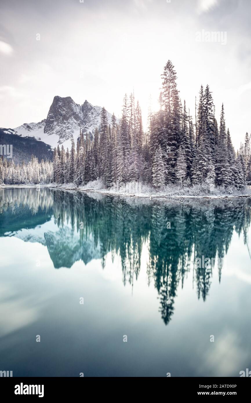 Réflexions sur les forêts et les montagnes dans le lac Emerald, le parc national Banff, en Alberta, au Canada Banque D'Images