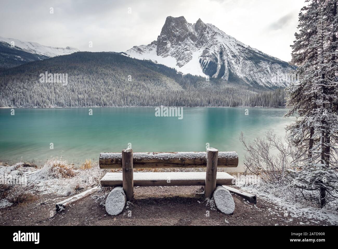 Banc couvert de neige par Emerald Lake, parc national Banff, Alberta, Canada Banque D'Images