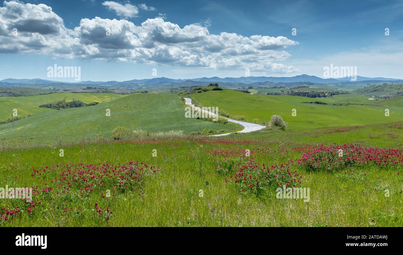 Route à travers le paysage rural, Volterra, Pise, Toscane, Italie Banque D'Images