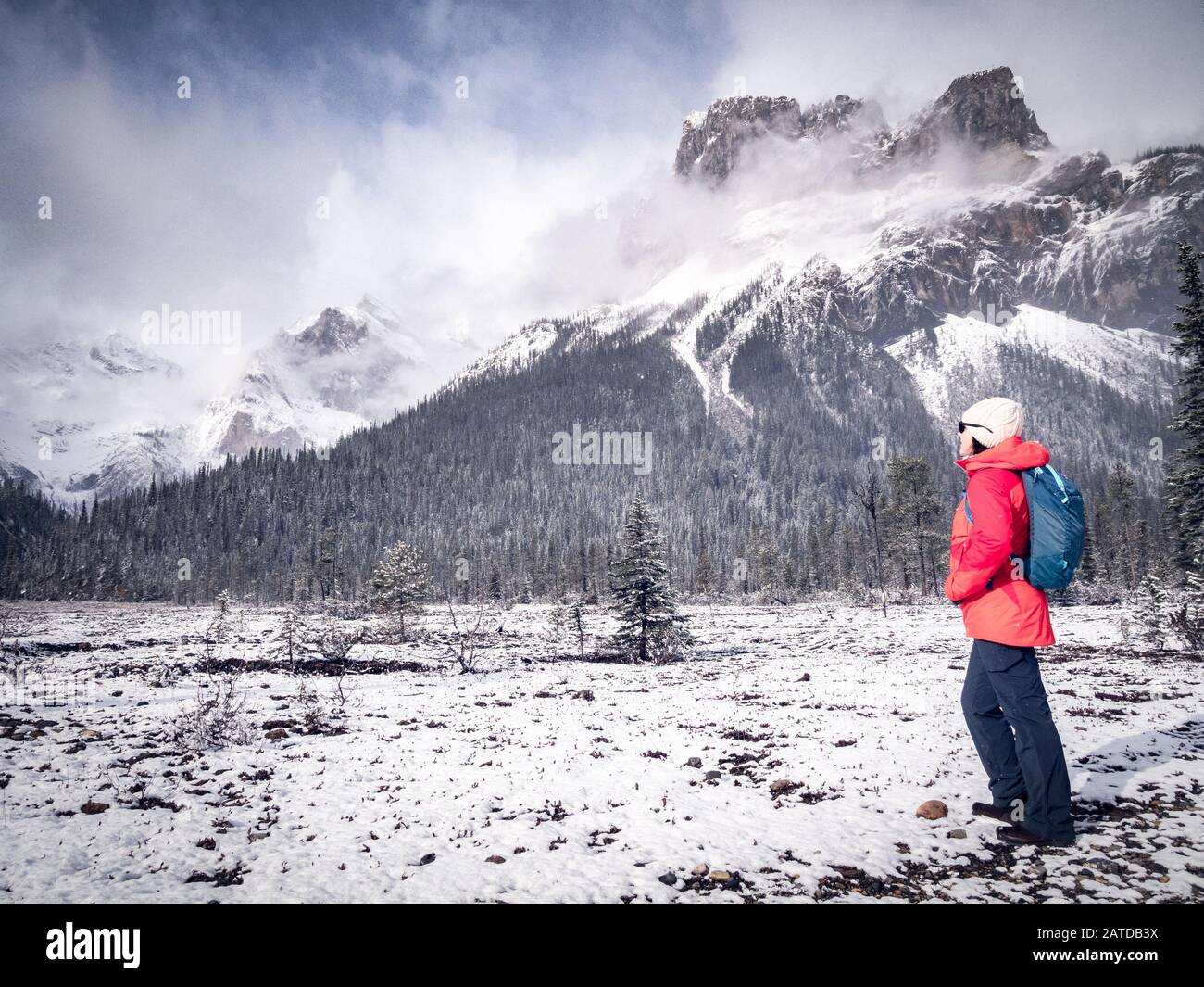 Randonneur féminin regardant la vue sur la montagne, parc national Banff, Alberta, Canada Banque D'Images