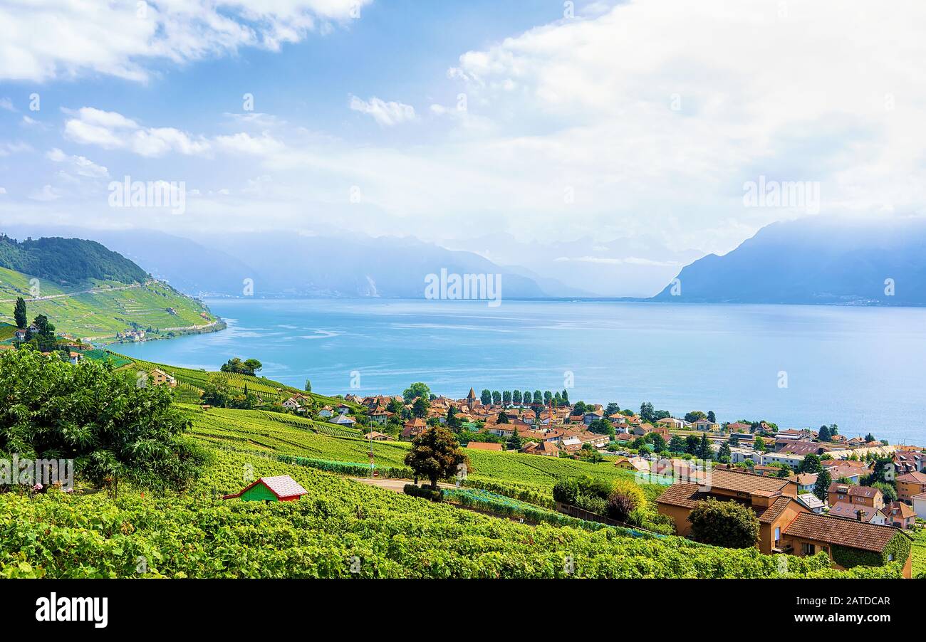Campagne de Lavaux Vineyard Terrasses randonnée de Suisse Banque D'Images