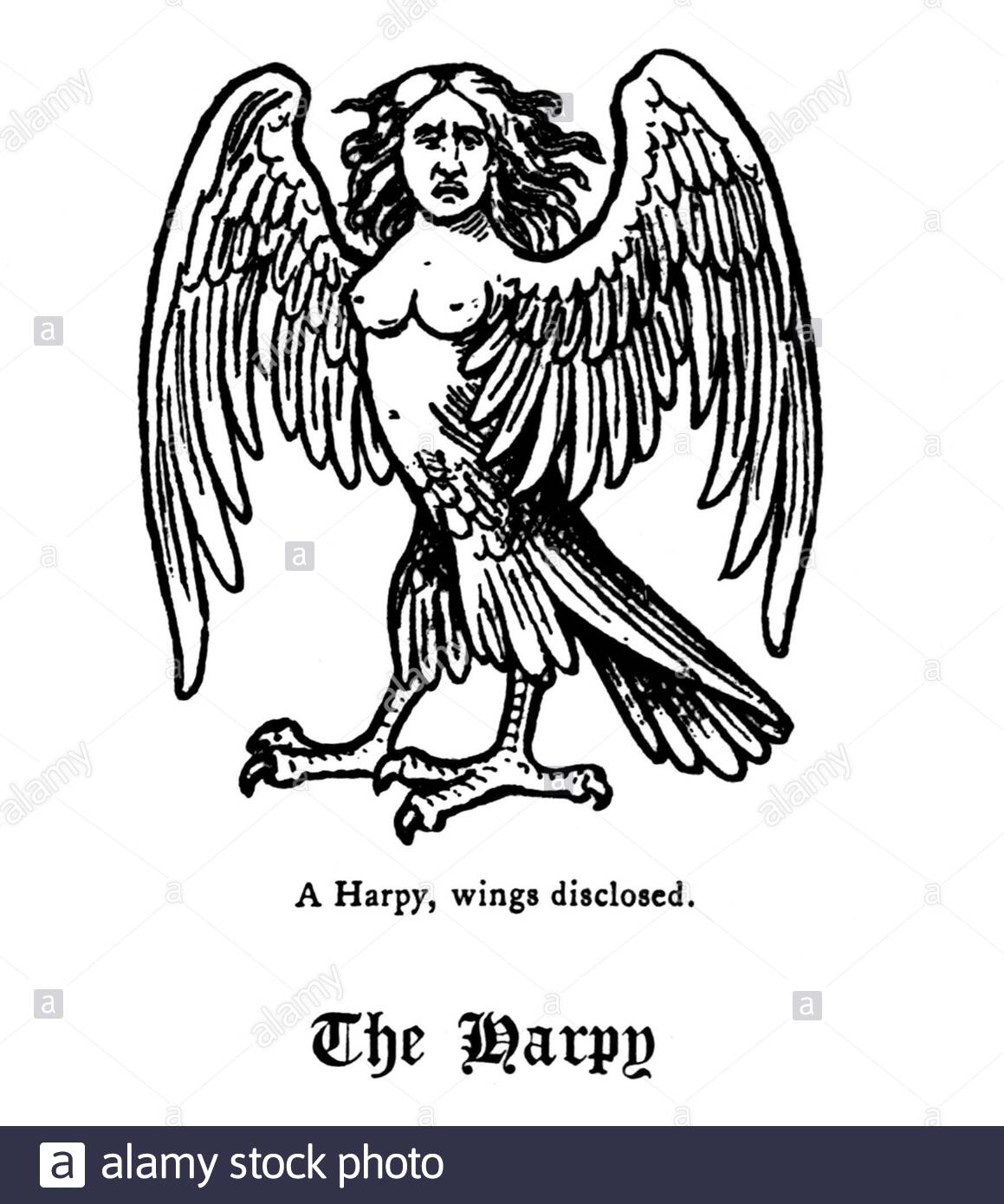 Ailes d'Harpy dévoilées, illustration ancienne de 1900 Banque D'Images