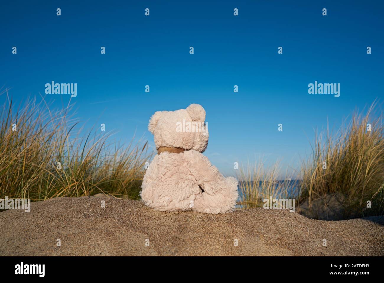 Triste ours en peluche avec un fanfare sur la plage de la mer Baltique près de Warnemünde en Allemagne Banque D'Images