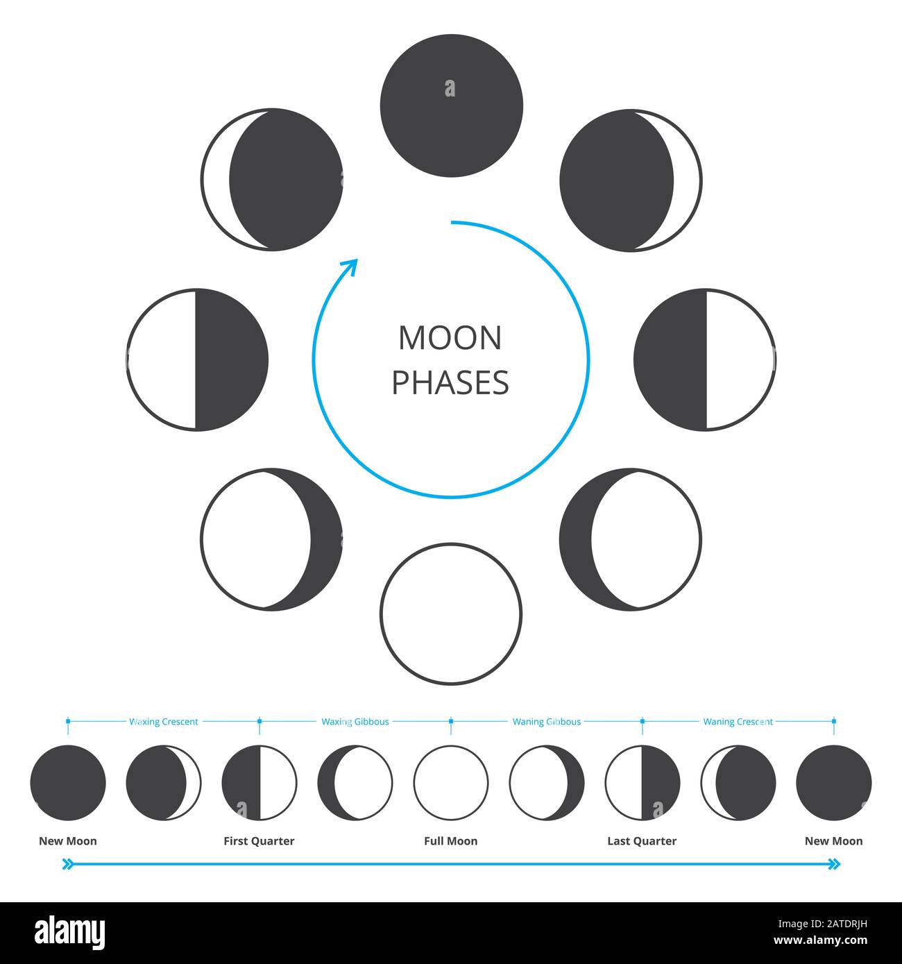 Icônes des phases de lune. Phases lunaires d'astronomie. Cycle entier