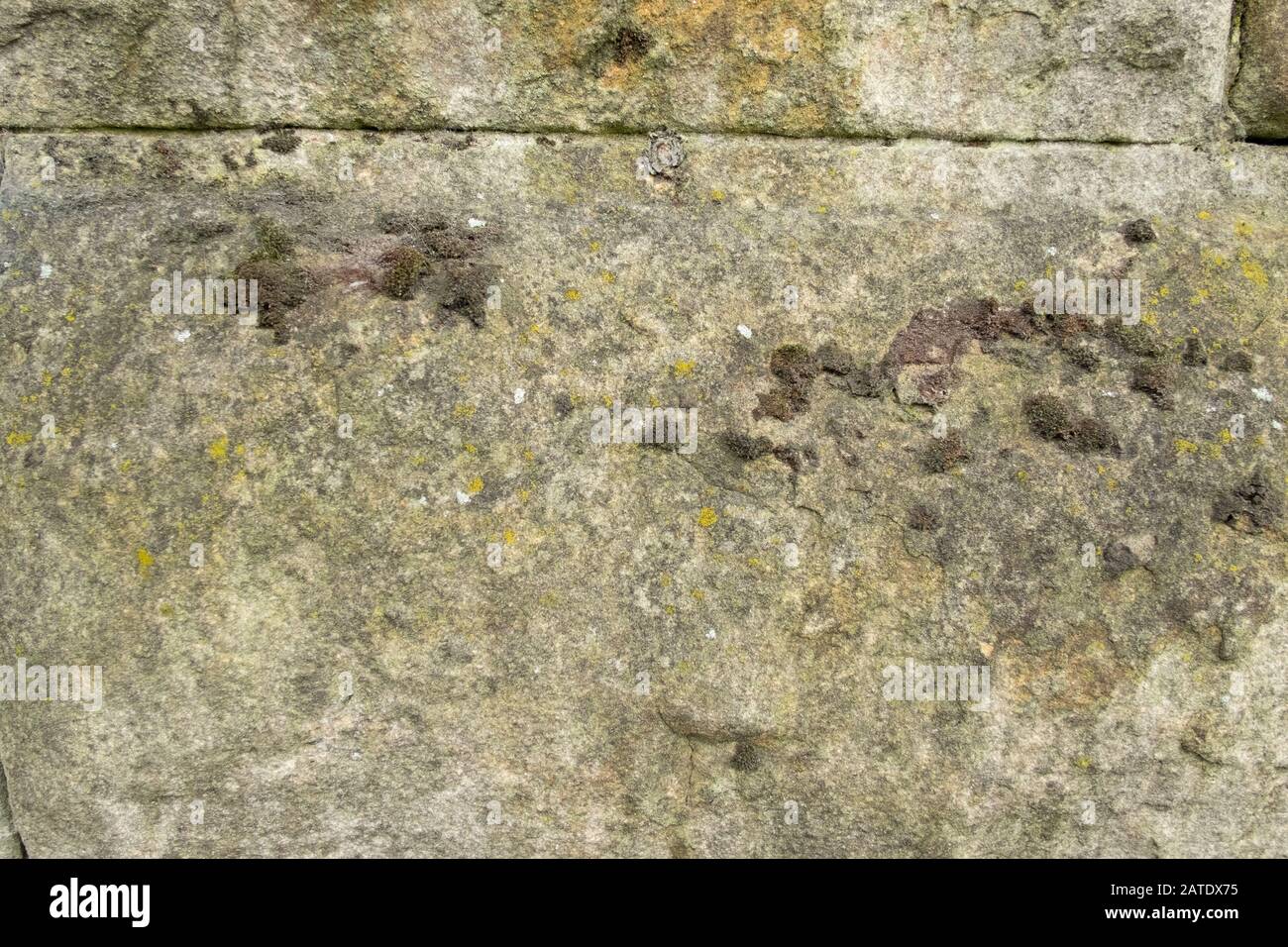 Détail gros plan du mur de pierre à paon avec mousse à Édimbourg, en Écosse Banque D'Images