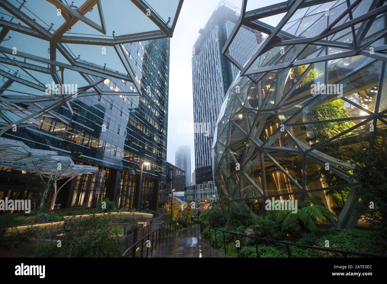 01/22/2018 : vue de l'Amazonie Les Sphères de son siège et tour de bureaux de Seattle WA USA Banque D'Images