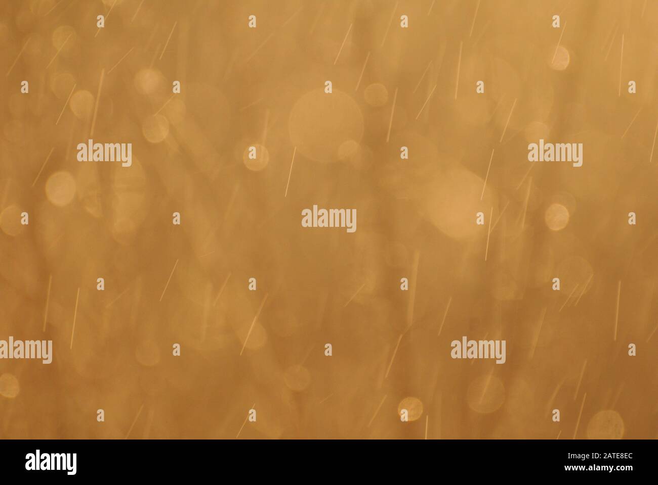 fond naturel de gouttelettes de pluie tombant sur un coucher de soleil jaune chaud Banque D'Images