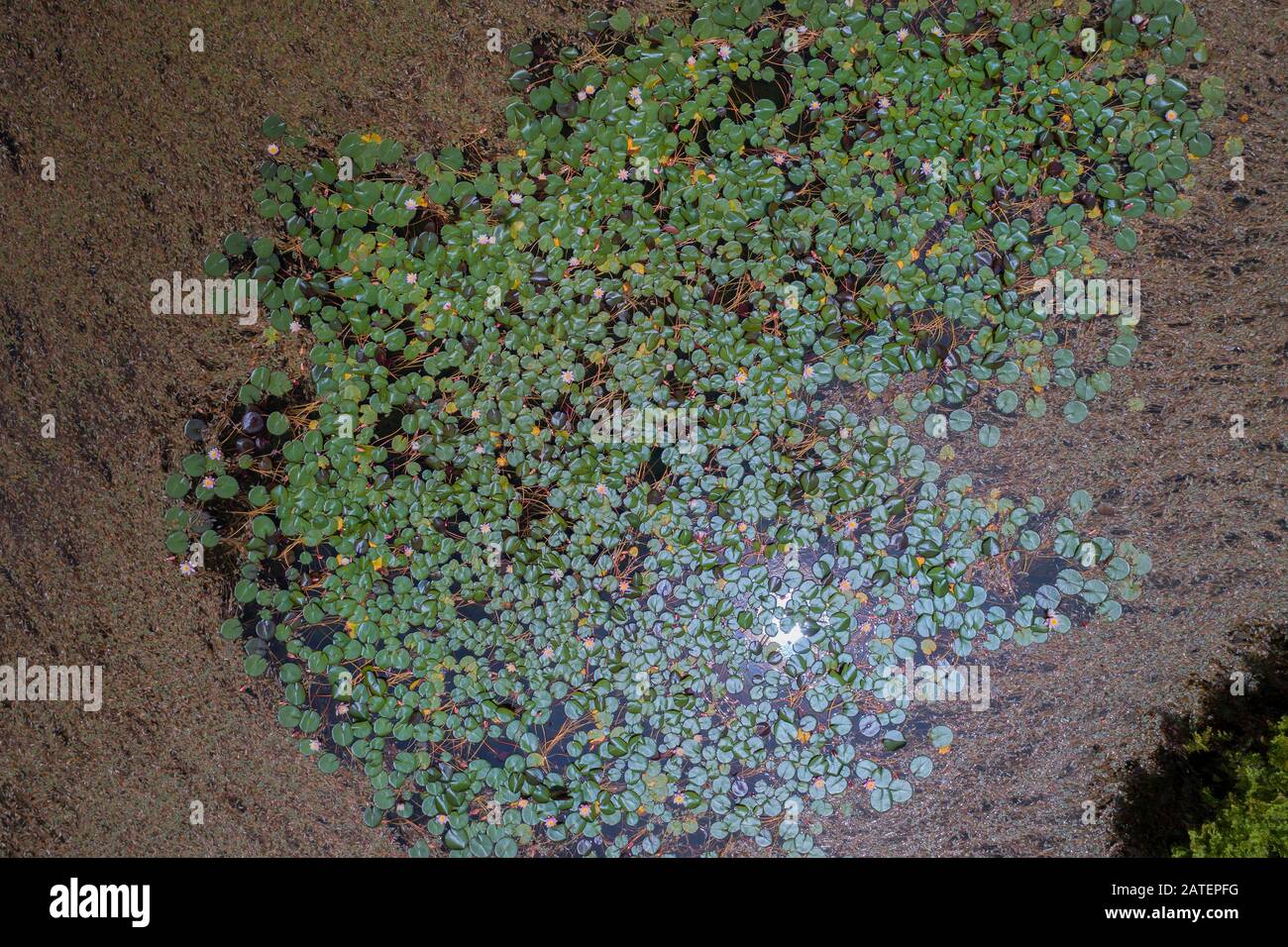 Vue aérienne depuis un lac Crater sur le haut de Pico, Acores Banque D'Images