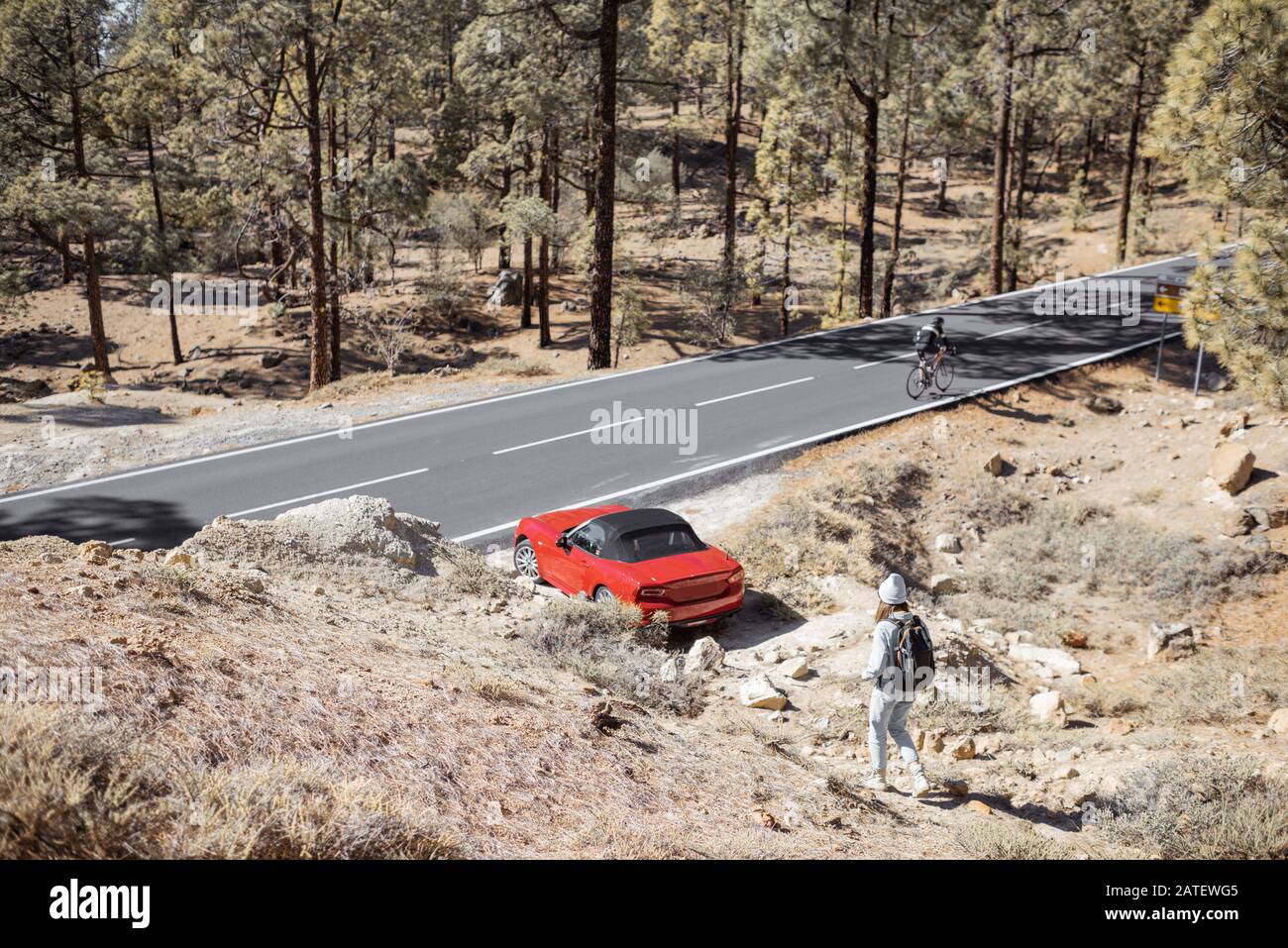 Femme voyageant en voiture sur la forêt volcanique de montagne sur l'île de Tenerife, Espagne. Vue large d'en haut Banque D'Images