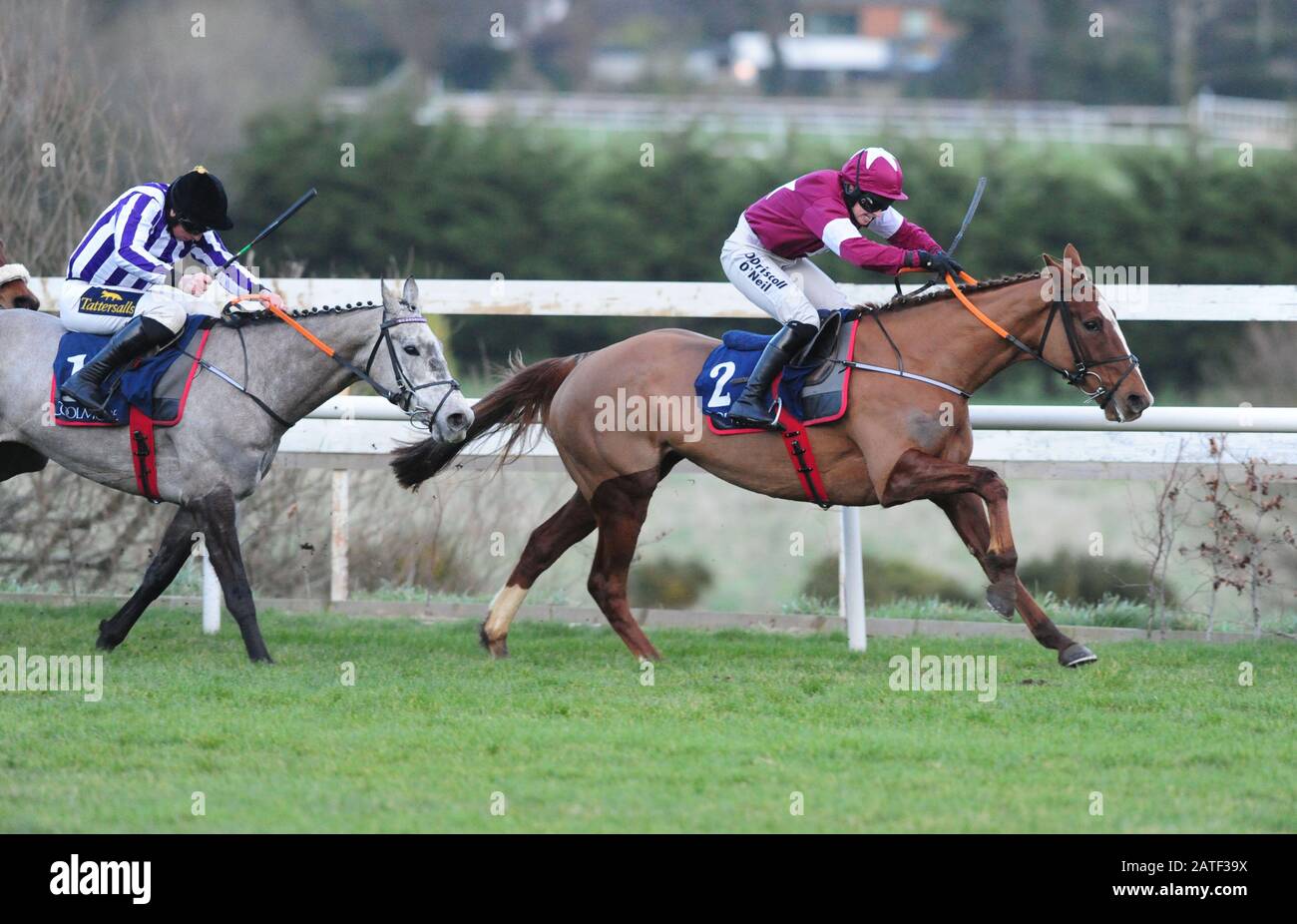 Darling Fille conduite par Lisa O'Neill remporte la course à plat Coolmore NH Sires Irish EBF Mares INH au deuxième jour du Dublin Racing Festival à l'hippodrome de Leopardstown. Banque D'Images