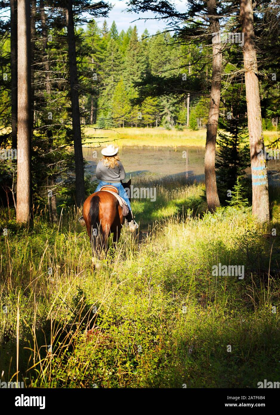 Une jeune femme équitation dans Montana, États-Unis Banque D'Images