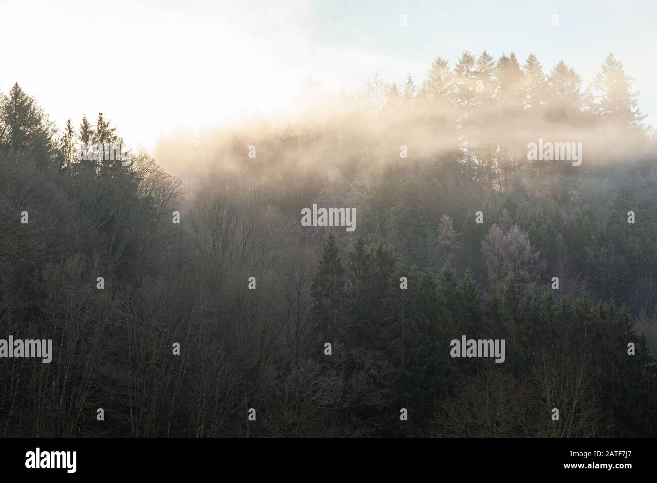 La lumière tôt traverse la brume par un matin froid à Bouillon en Belgique Banque D'Images