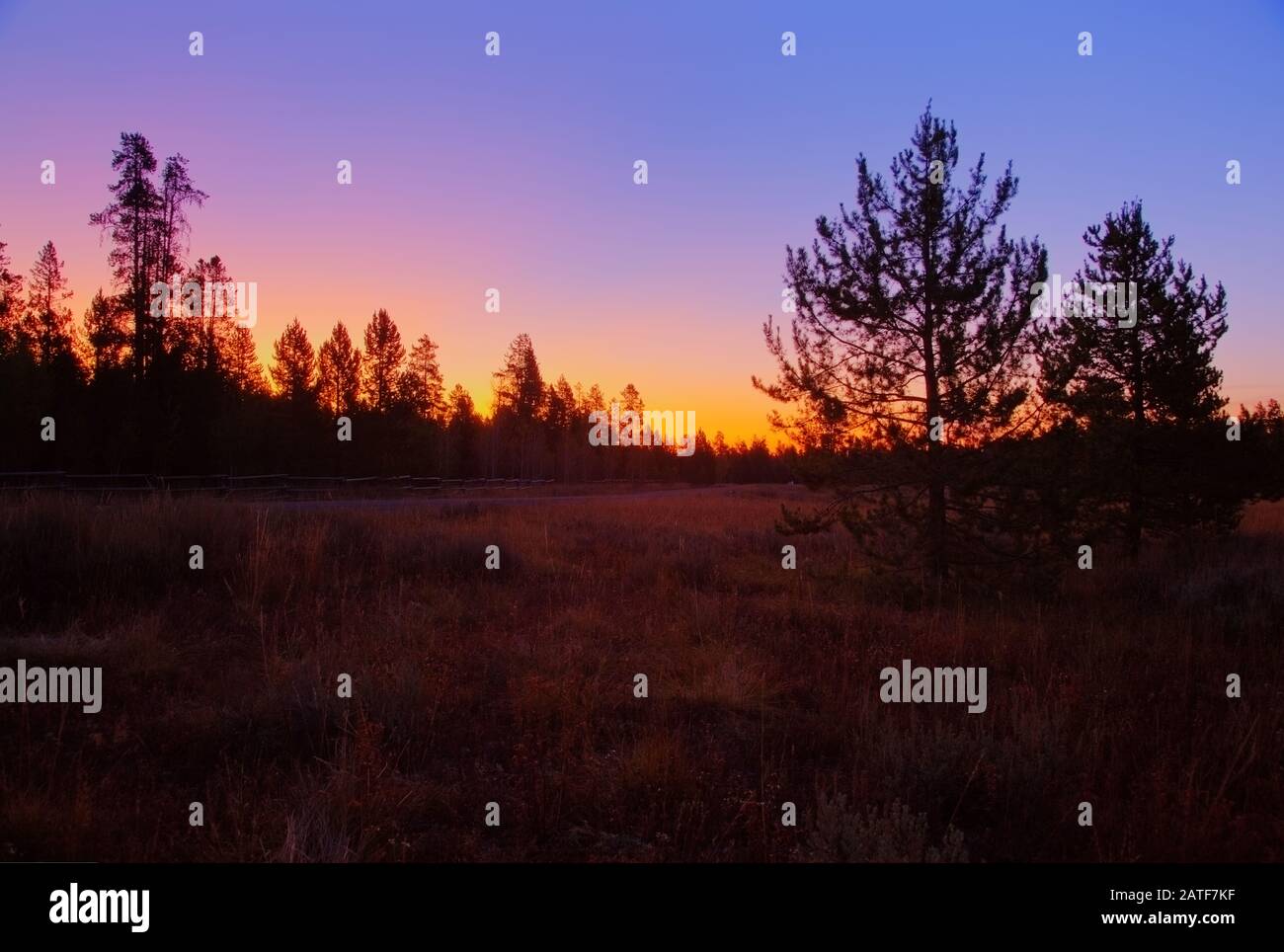 Tôt le matin dans la nature sauvage du Montana Banque D'Images