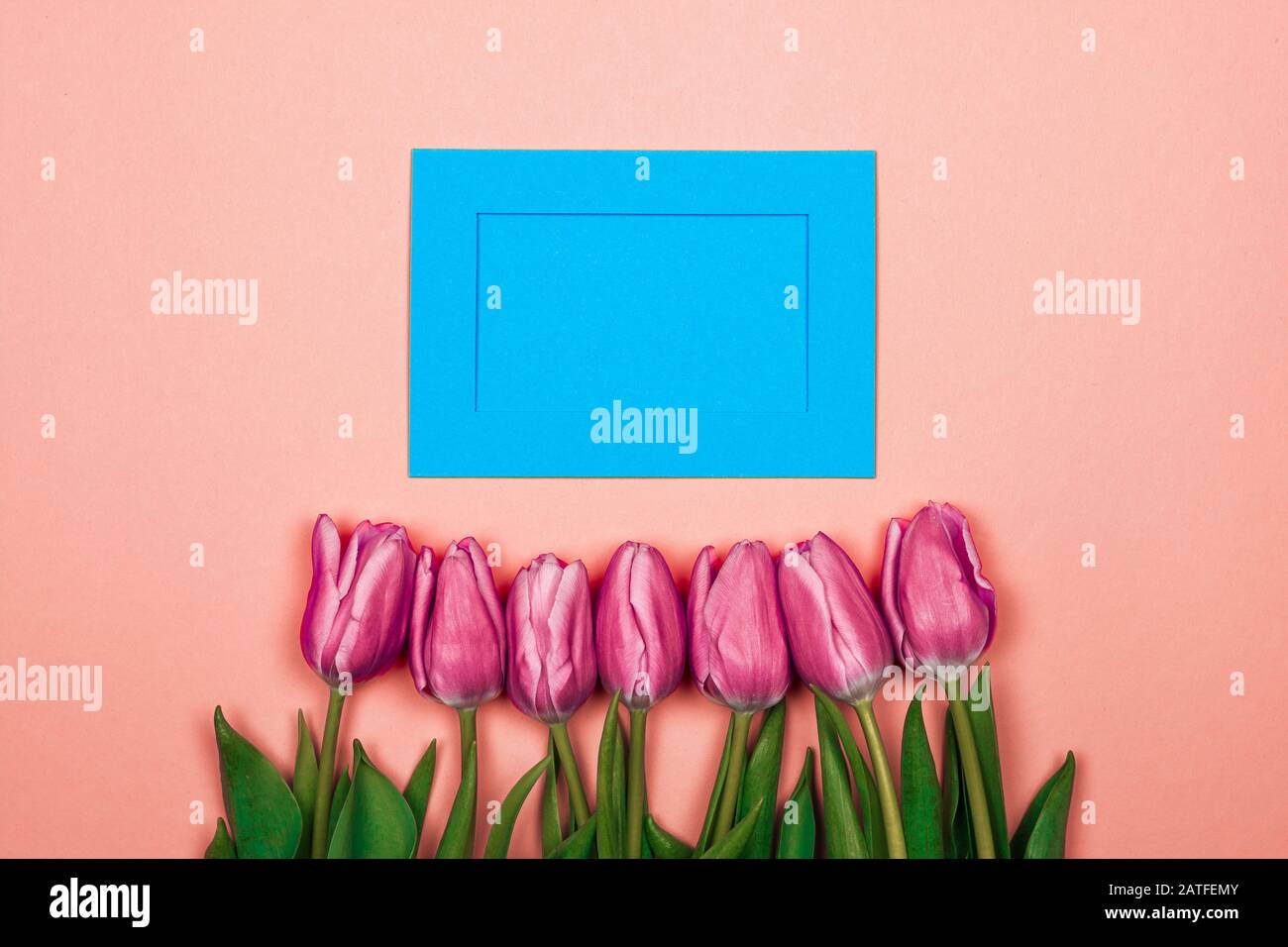 tulipes roses et enveloppe bleue sur fond rose. carte de jour pour femme Banque D'Images