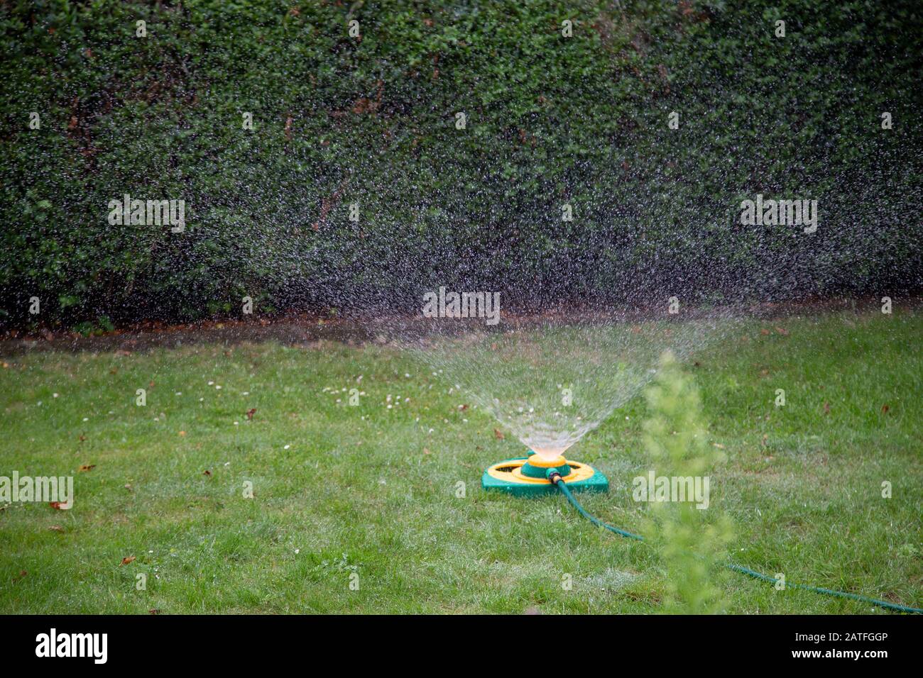 un arroseur de pelouse arrosant un pré avec de fines gouttelettes en été Banque D'Images