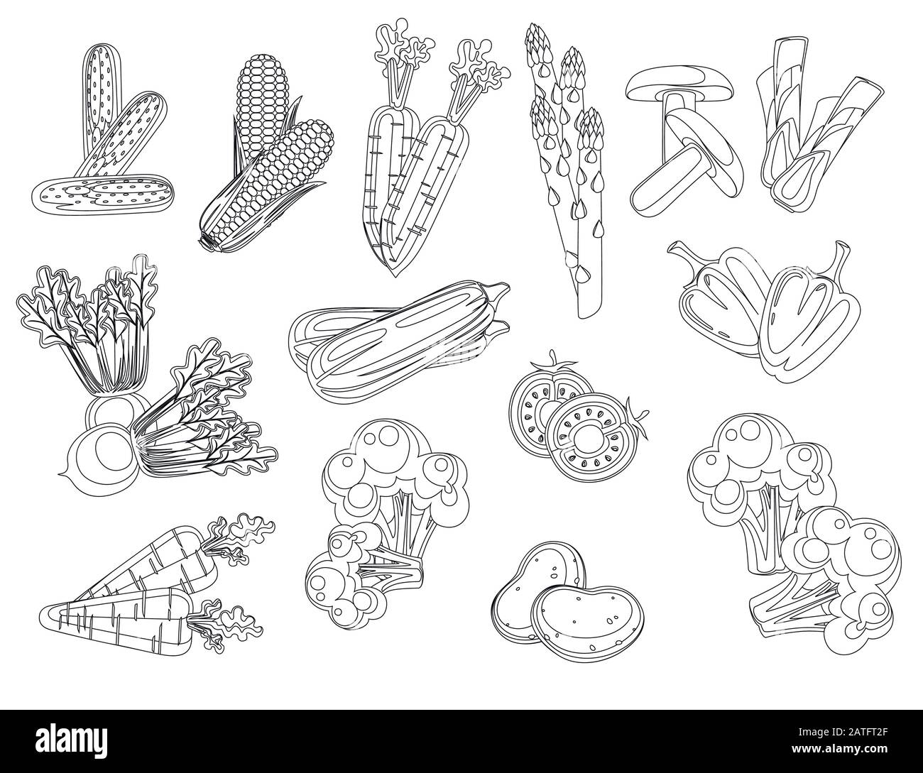 Ensemble de légumes frais crus illustration vectorielle plate isolée sur un style de contour blanc d'arrière-plan Illustration de Vecteur