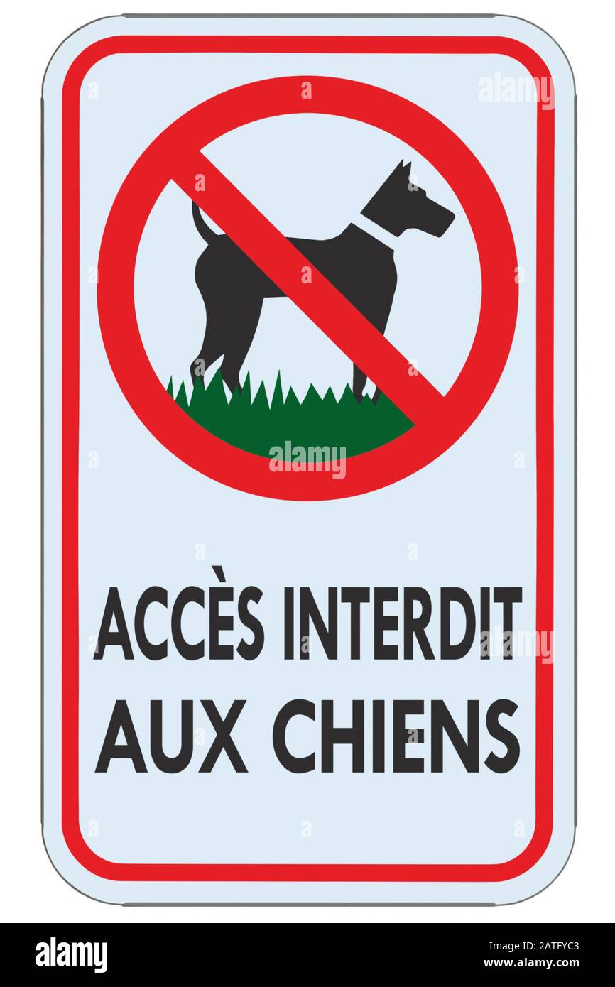 Les chiens ne sont pas autorisés à signer le texte d'avertissement français FR, accès interdit aux chiens, gros panneau d'interdiction détaillé isolé macro closeup, réglementation des métaux verticaux Banque D'Images