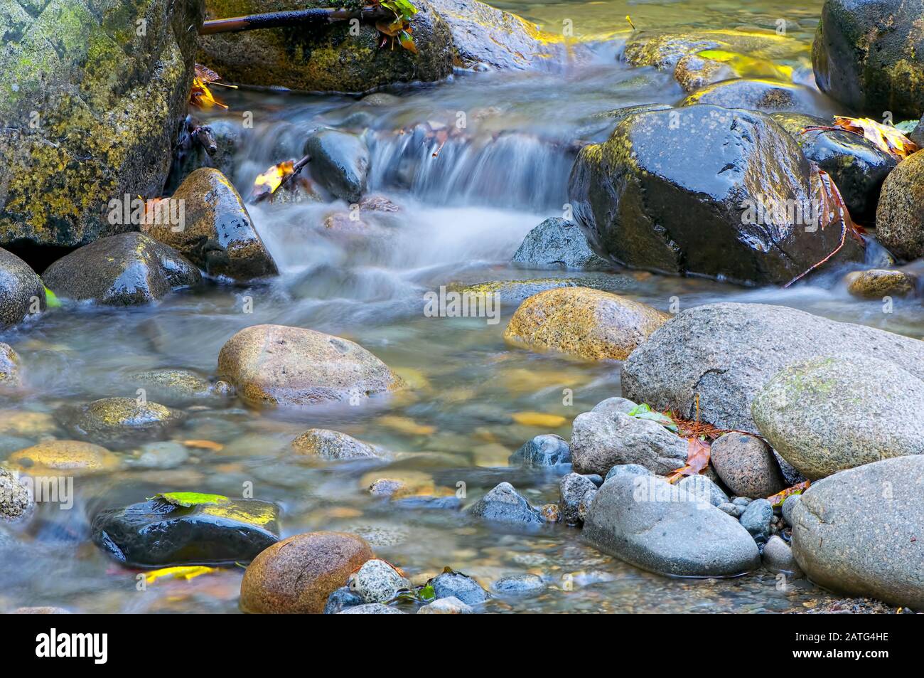 Forest Stream A Été Photographié Dans Le Parc Kanaka Creek, Maple Ridge, Colombie-Britannique, Canada. Banque D'Images