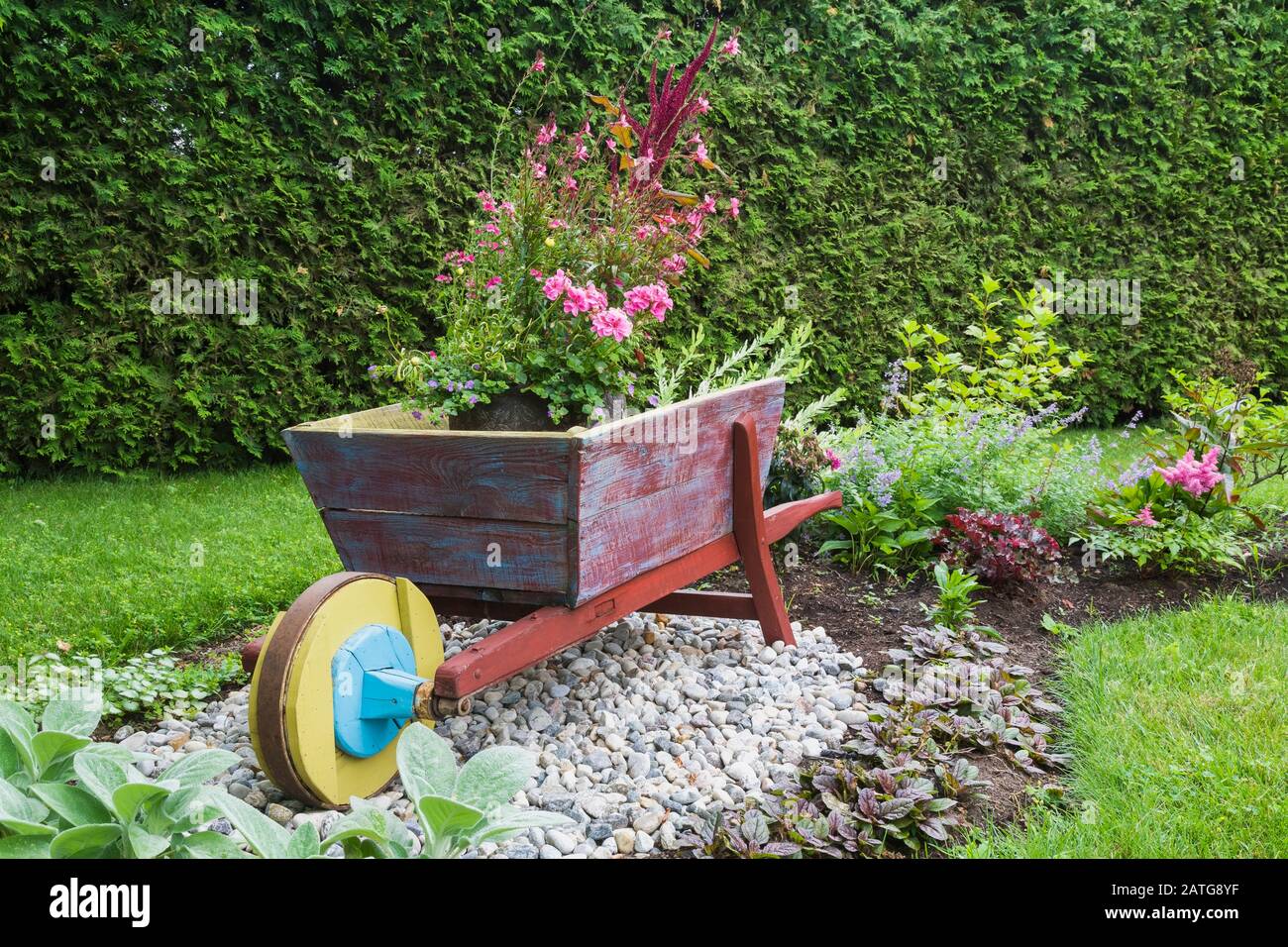 Rose Geranium - Cranesbill, jaune Sanvitalia - Creeping zinnia, Gaura lindeheimeri 'passionnée Blush' fleurs en brouette rustique en bois Banque D'Images