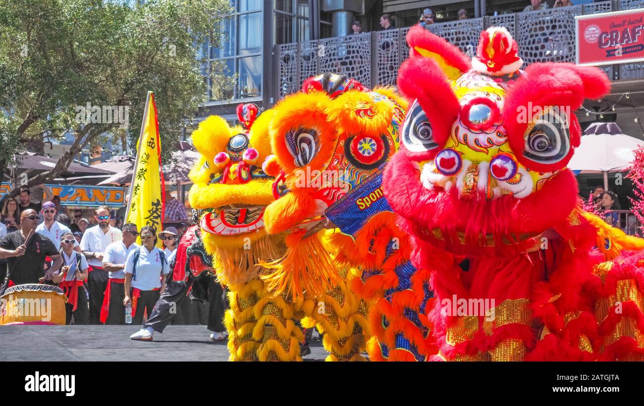 Lion dansant à la foire chinoise du nouvel an 2020 de Perth pour célébrer l'année lunaire du rat. Banque D'Images