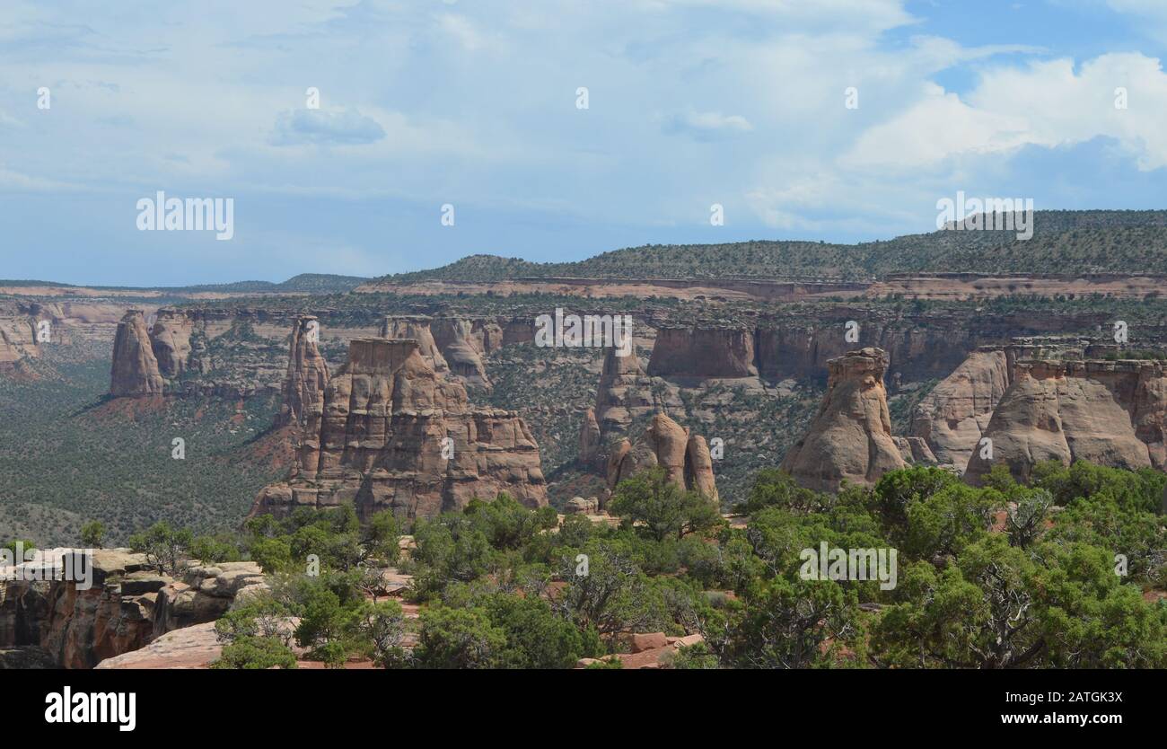 Début De L'Été Au Colorado : Monument Canyon Vu De Book Cliffs Vue Le Long De Rim Rock Drive Dans Le Monument National Du Colorado Banque D'Images