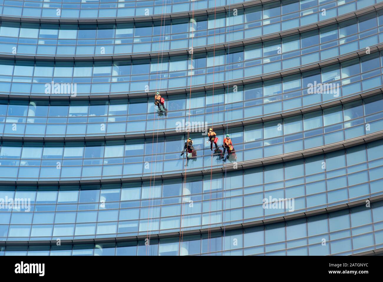 Les nettoyeurs de fenêtres suspendus sur le côté d'un gratte-ciel nettoyant les vitres de bureau regardant par dessous Banque D'Images