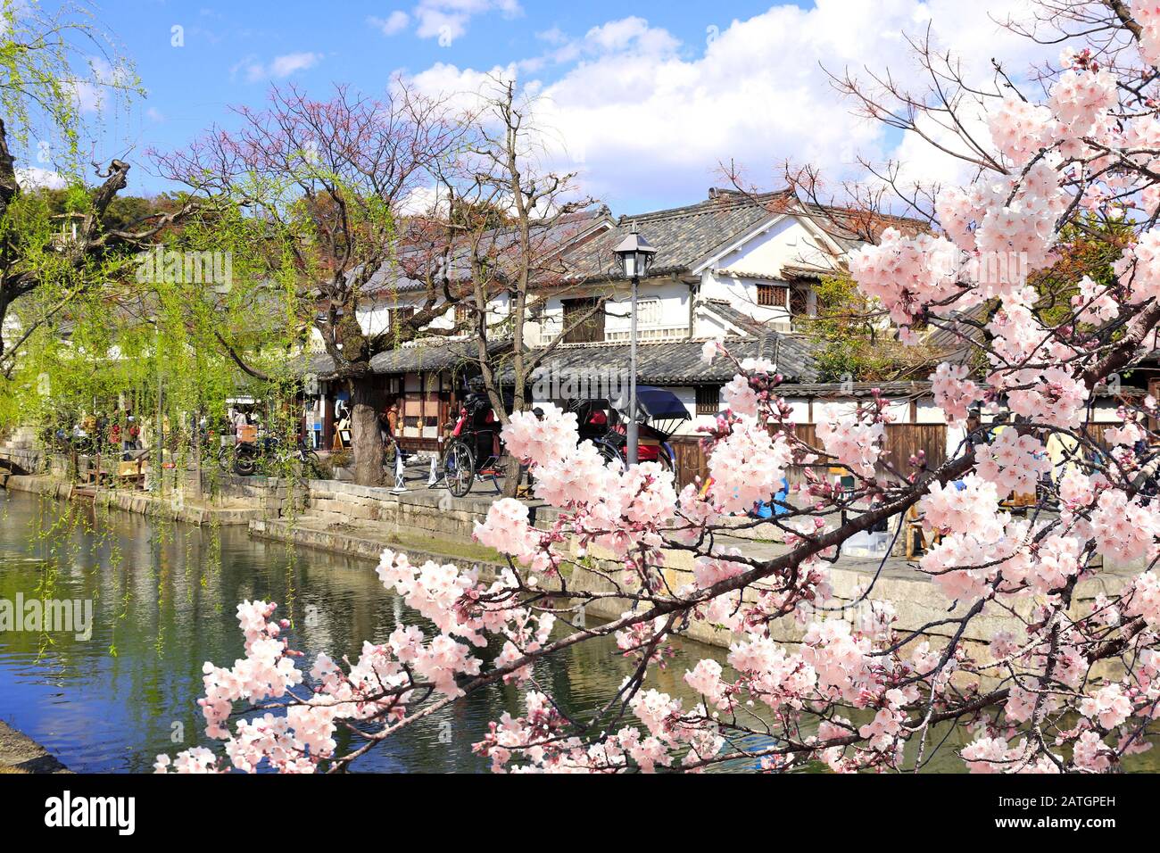 Branche de sakura en fleurs et canal Kurashiki dans le quartier de Bikan, ville de Kurashiki. Saison de floraison Sakura au Japon Banque D'Images