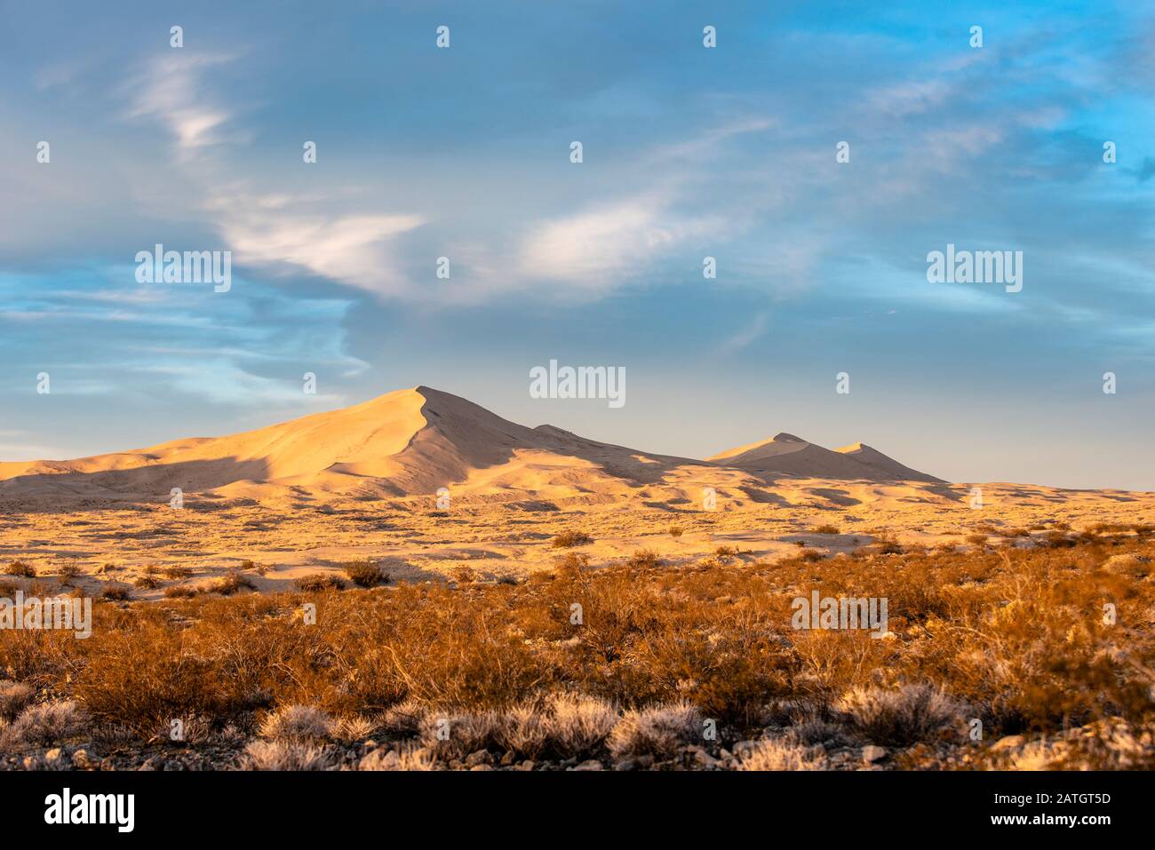 Grandes dunes de sable situées dans la Réserve nationale de Mojave en Californie. La lumière naturelle projette des ombres profondes sur ce magnifique paysage désertique Banque D'Images