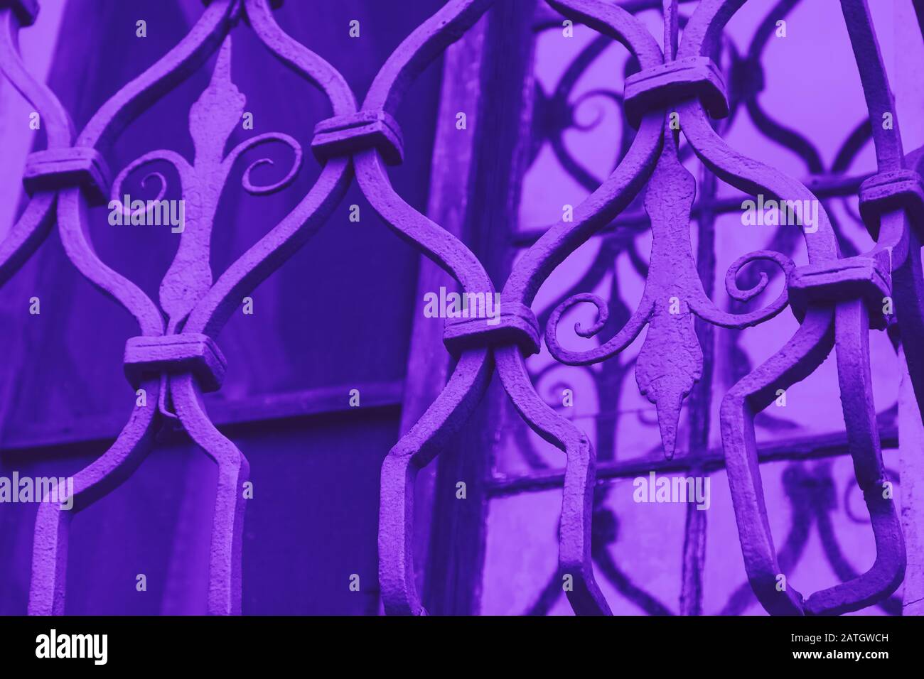 Fragment de clôture en fer forgé. Grille en acier forgé décoratif. Violet Banque D'Images