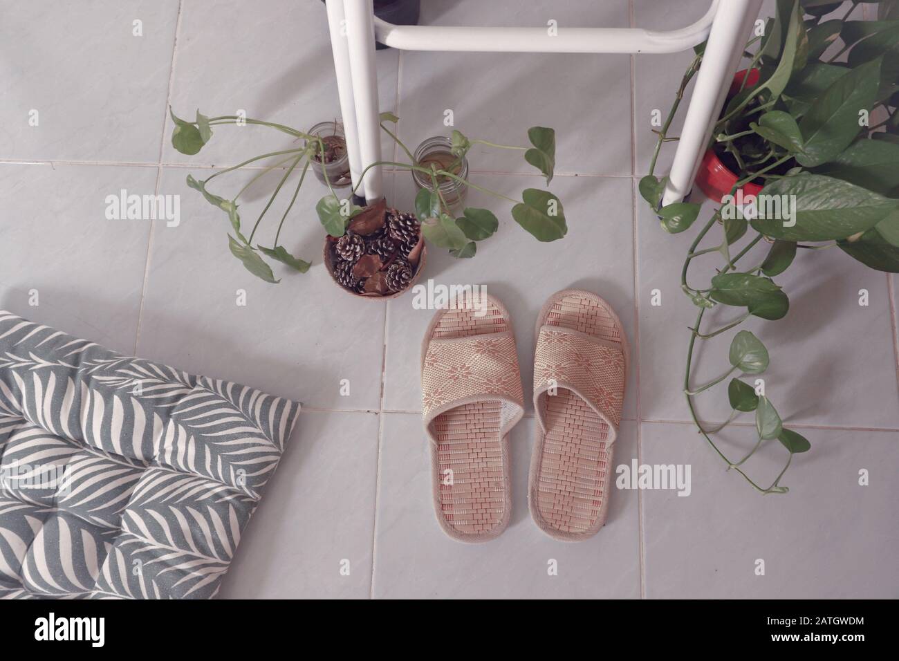 Décoration simple et fraîche de la maison pour le printemps utilisant des plantes ménagères pour créer un calmant et sexe neutre espace de vie Banque D'Images