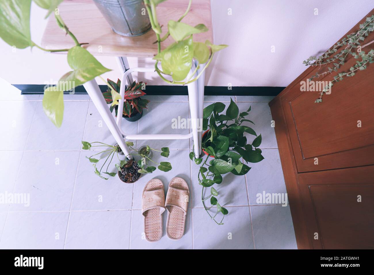 Décoration simple et fraîche de la maison pour le printemps utilisant des plantes ménagères pour créer un calmant et sexe neutre espace de vie Banque D'Images