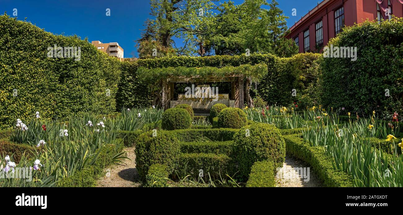 Jardin des Jotas du jardin botanique de Porto, Portugal. Ce jardin a une grande diversité de fleurs exotiques. Banque D'Images