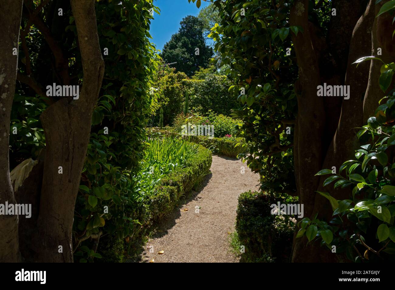 Jardin des Jotas du jardin botanique de Porto, Portugal. Ce jardin a une grande diversité de fleurs exotiques. Banque D'Images