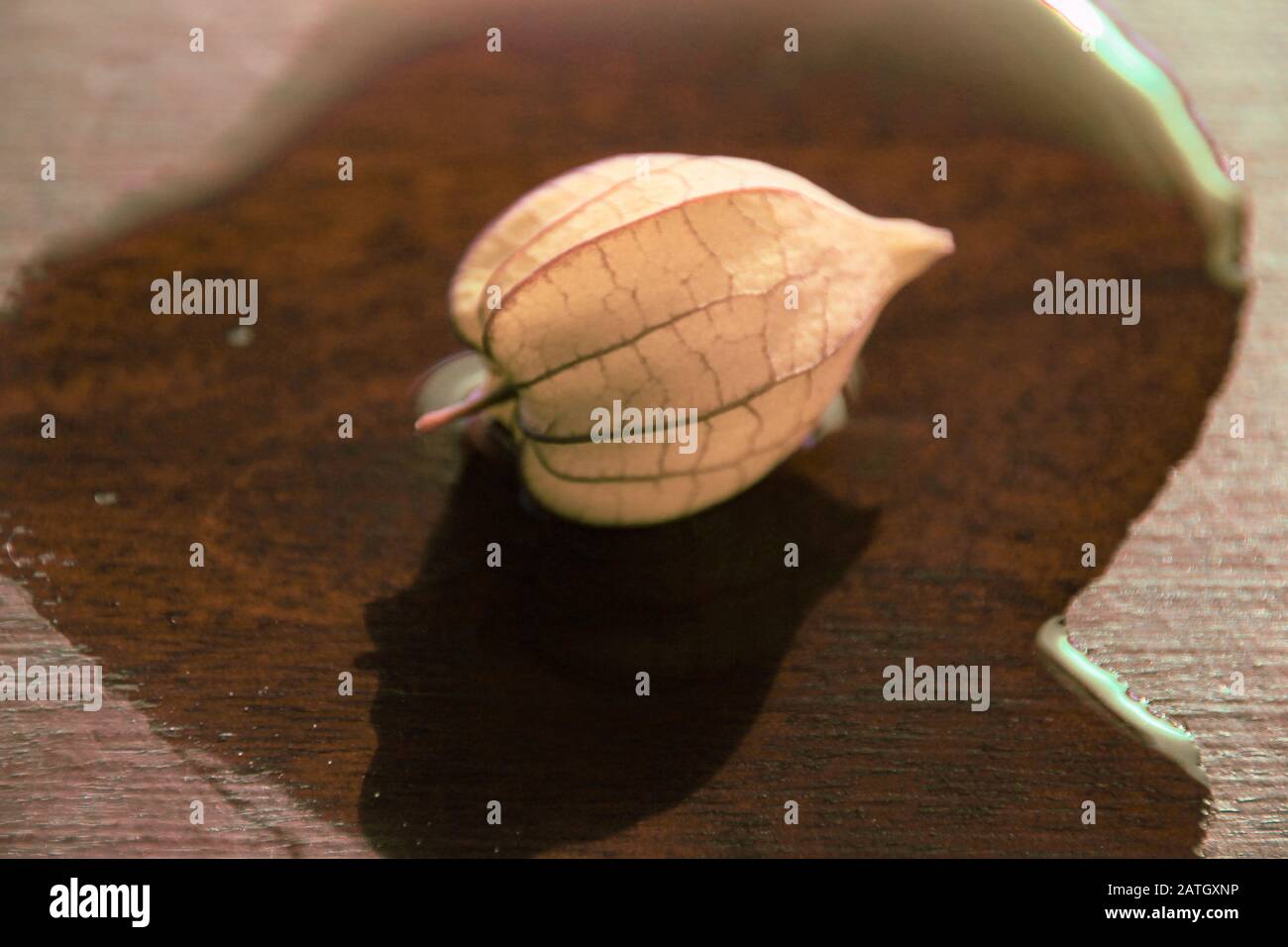 Photo conceptuelle de la vie encore d'un fruit physalis reflété sur l'eau montrant le concept de l'identité de soi, la découverte de soi, la force intérieure et l'ikigai Banque D'Images