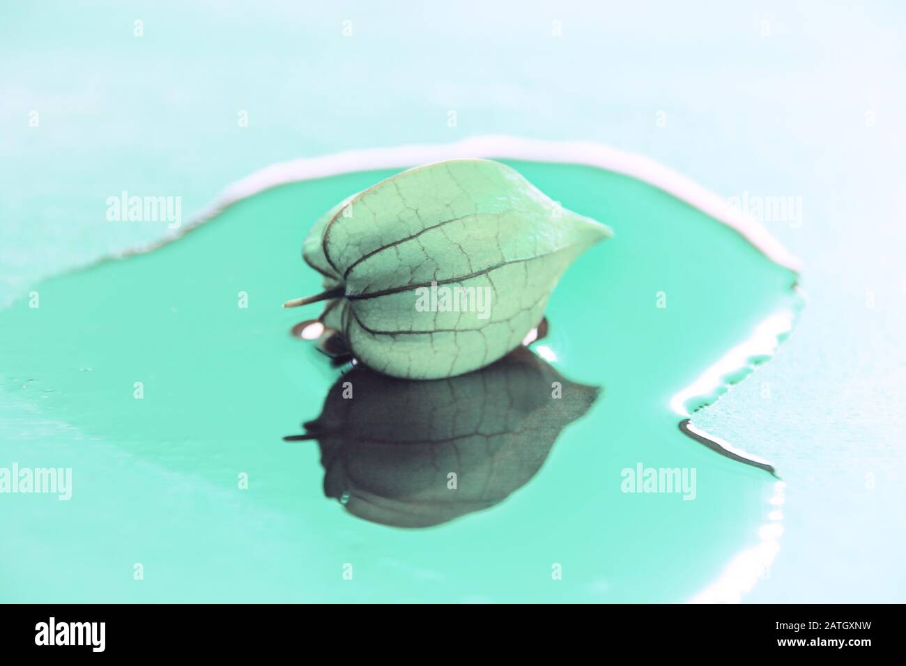 Photo conceptuelle de la vie encore d'une physalis ou de l'airelle du cap (Physalis peruviana) reflétée sur l'eau montrant le concept d'identité de soi, la découverte de soi Banque D'Images