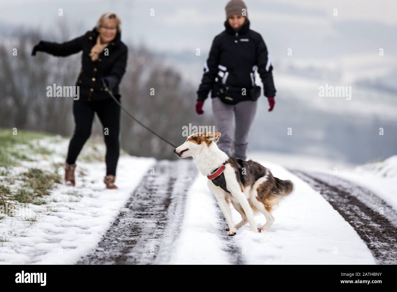 Deux femmes marchent avec leur chien, tirant sur la laisse, danger de glisser Banque D'Images