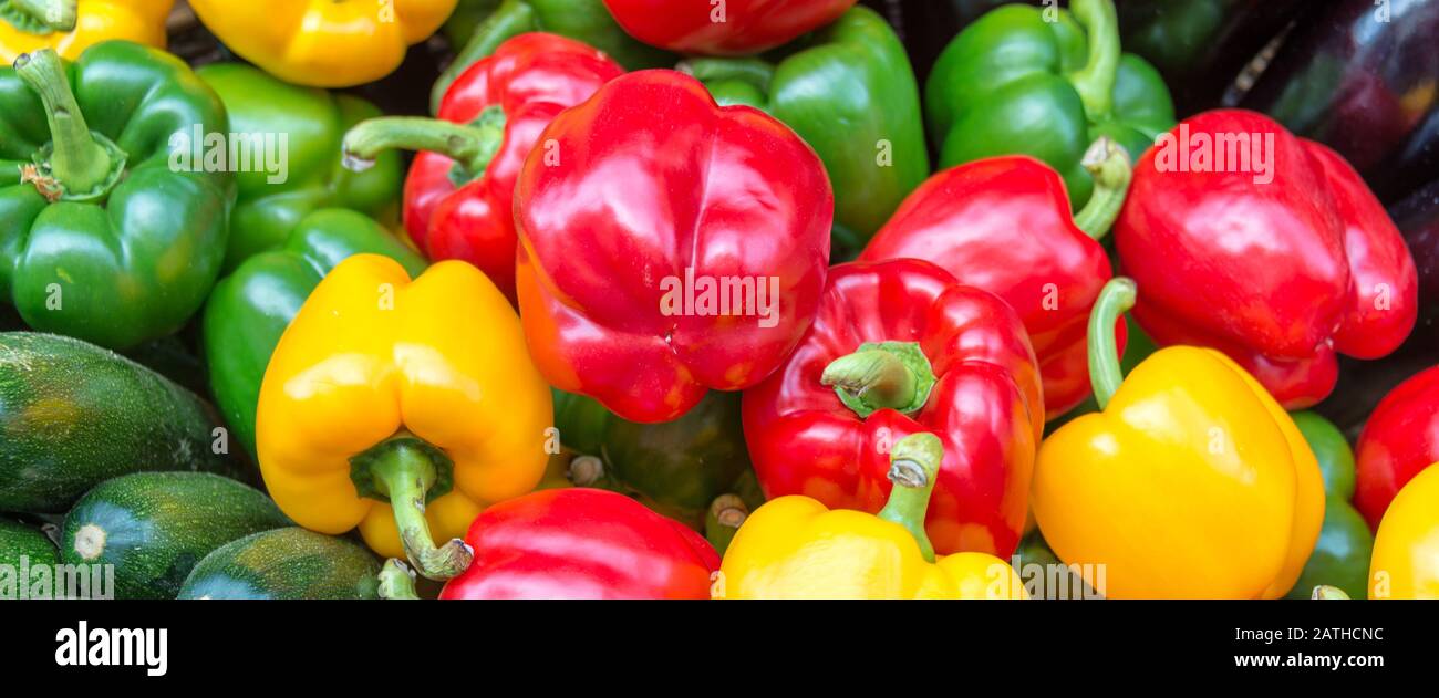 Panorama des poivrons jaune, vert et rouge, bannière web de légumes d'été Banque D'Images