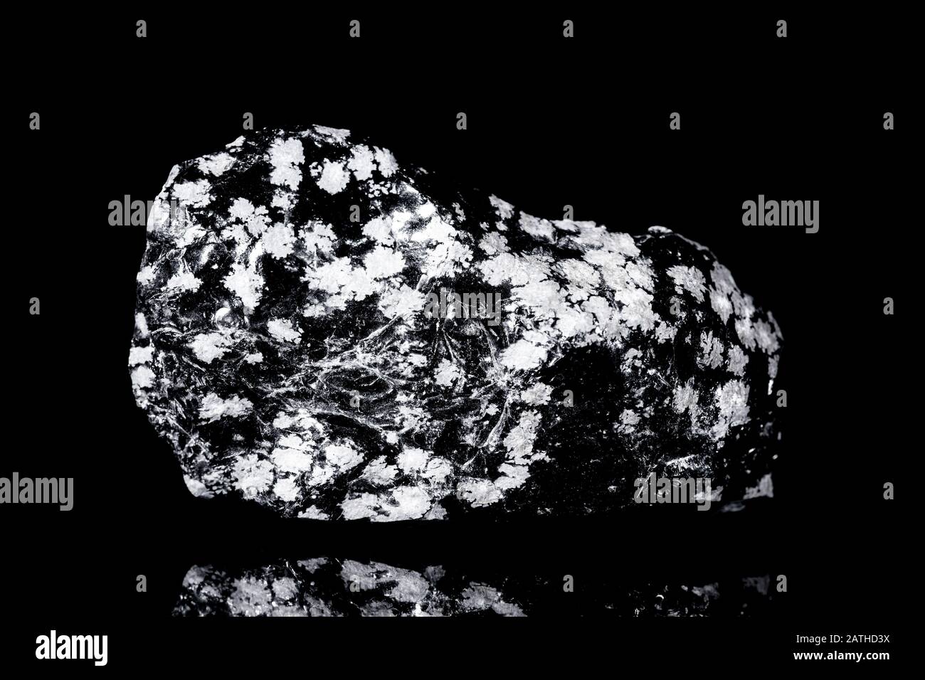 Verre volcanique obsidienne flocon de neige brut devant le fond noir, la minéralogie et la géologie Banque D'Images