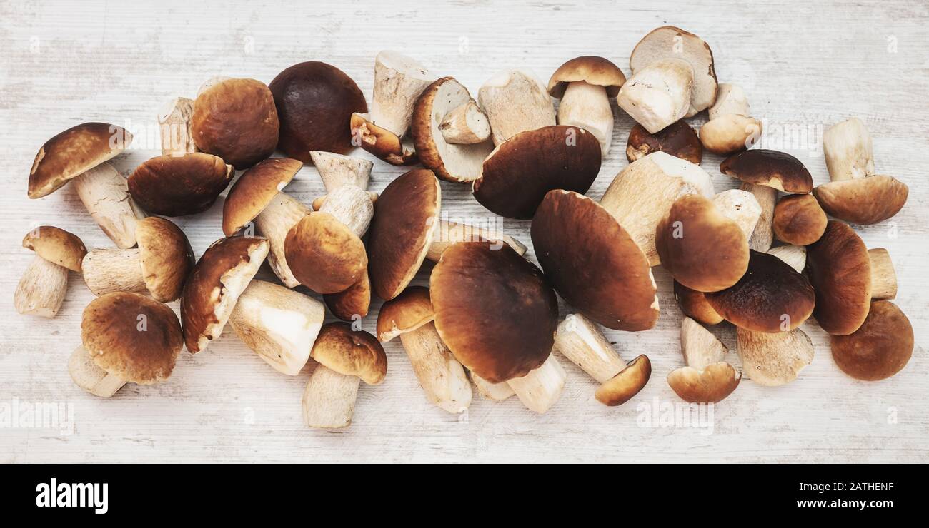 En-tête de nombreux champignons porcini frais sur table en bois, Boletus edulis, topview Banque D'Images