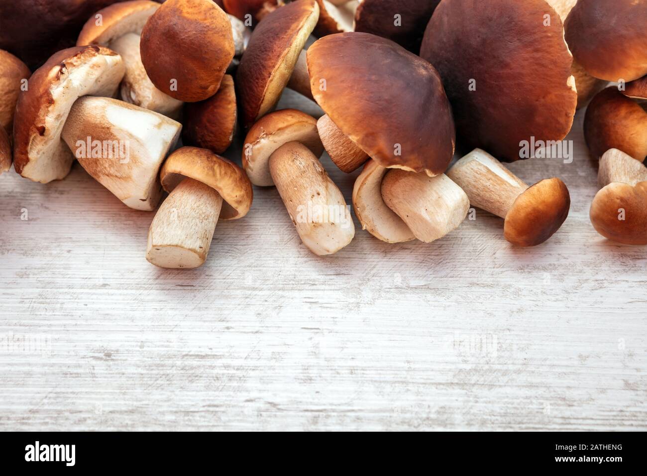 Champignons gastronomiques boletus edulis sur table en bois avec copyspace, champignons porcini frais et crus Banque D'Images