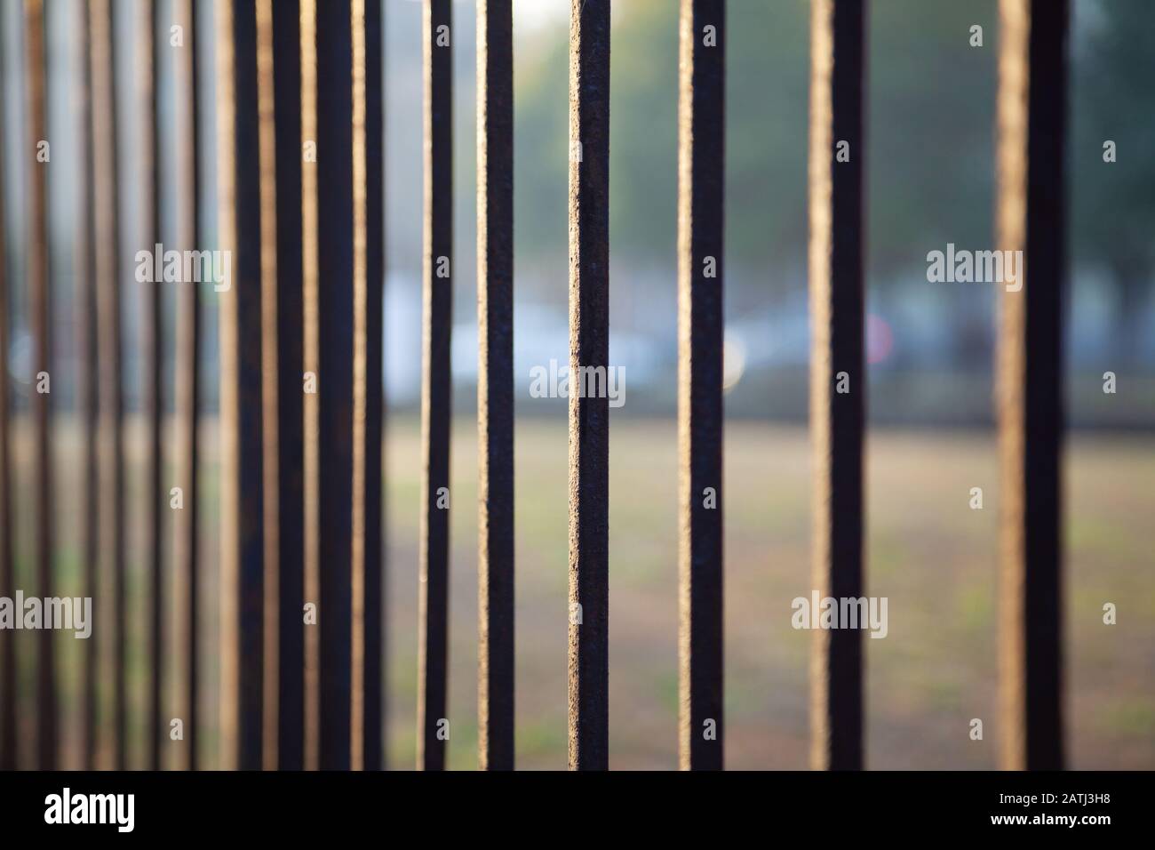 Barres de clôture en fer forgé, gros plan Banque D'Images