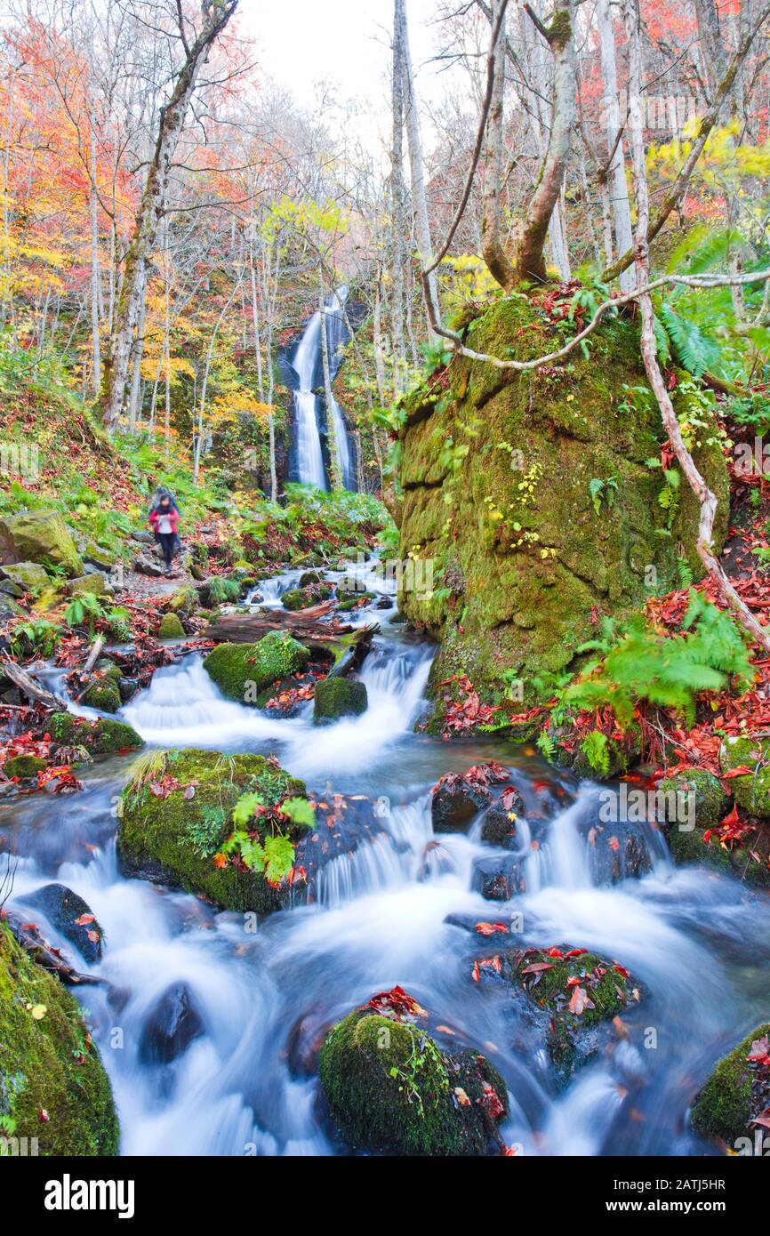 Vue sur la chute d'eau Kumoi dans le ruisseau Oirase en automne, préfecture d'Aomori, Tohoku, Japon. Banque D'Images