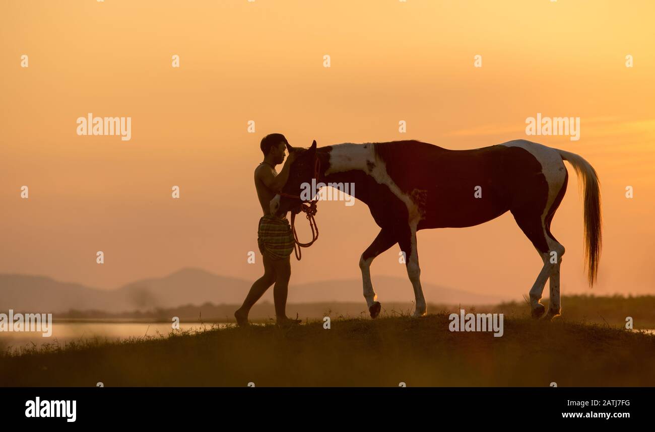 Jeune homme avec un cheval au bord du lac pendant le coucher du soleil Banque D'Images
