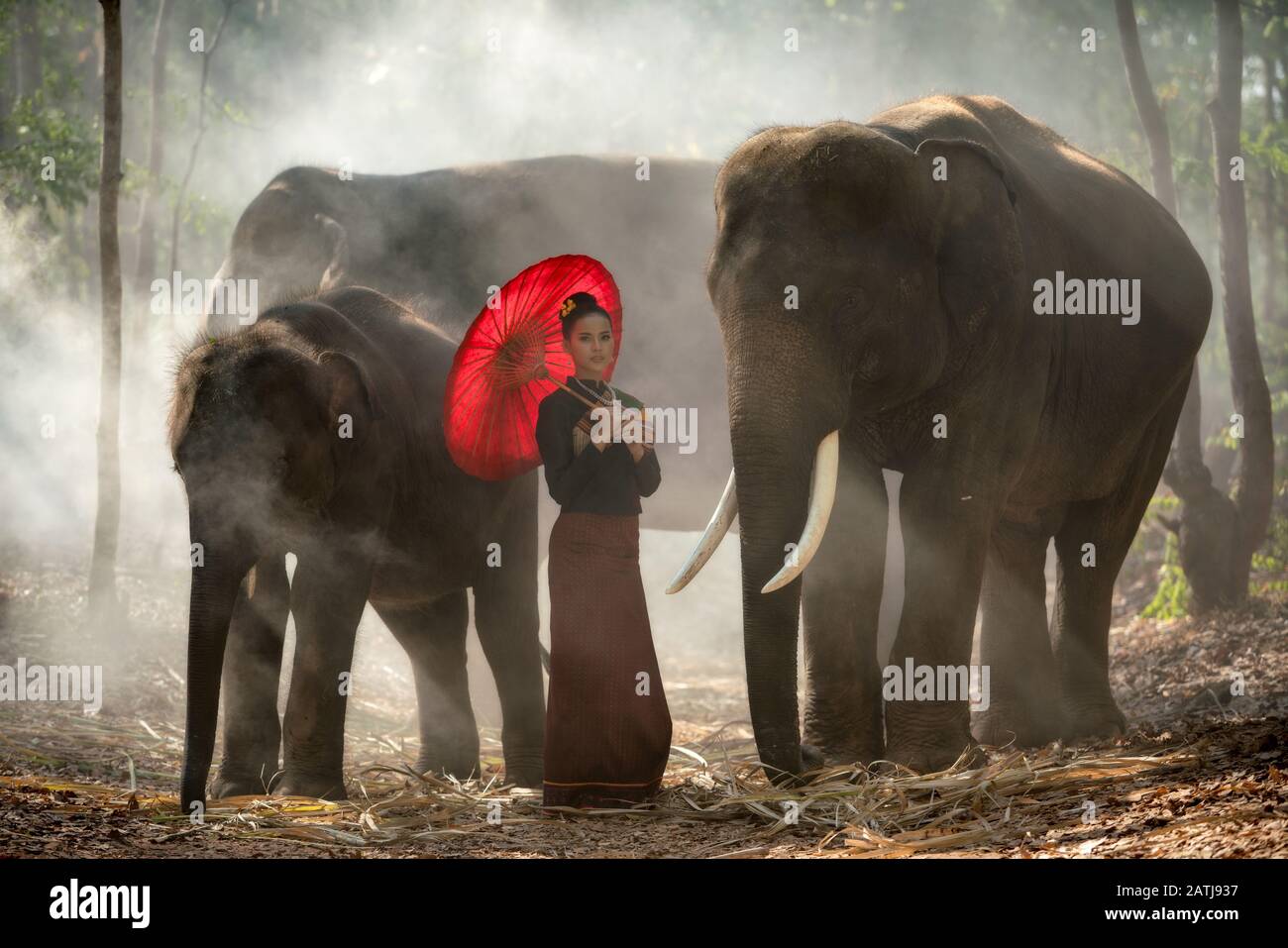 Thaïlande éléphant et femme portant des vêtements de soie culture portrait concept Banque D'Images