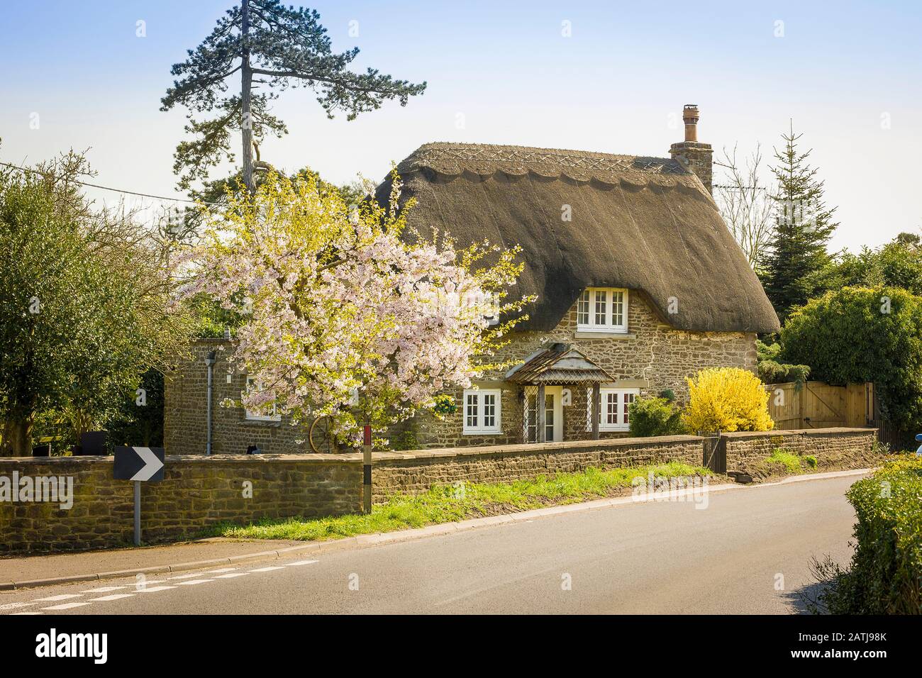 Wans North Cottage Sandy Lane Chippenham Wiltshire Angleterre Royaume-Uni au printemps avec fleurs et Forsythia en fleur Banque D'Images